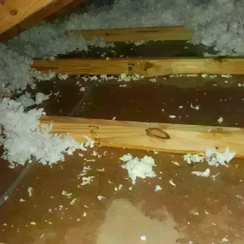 Attic Water Damage in Knox County, MO